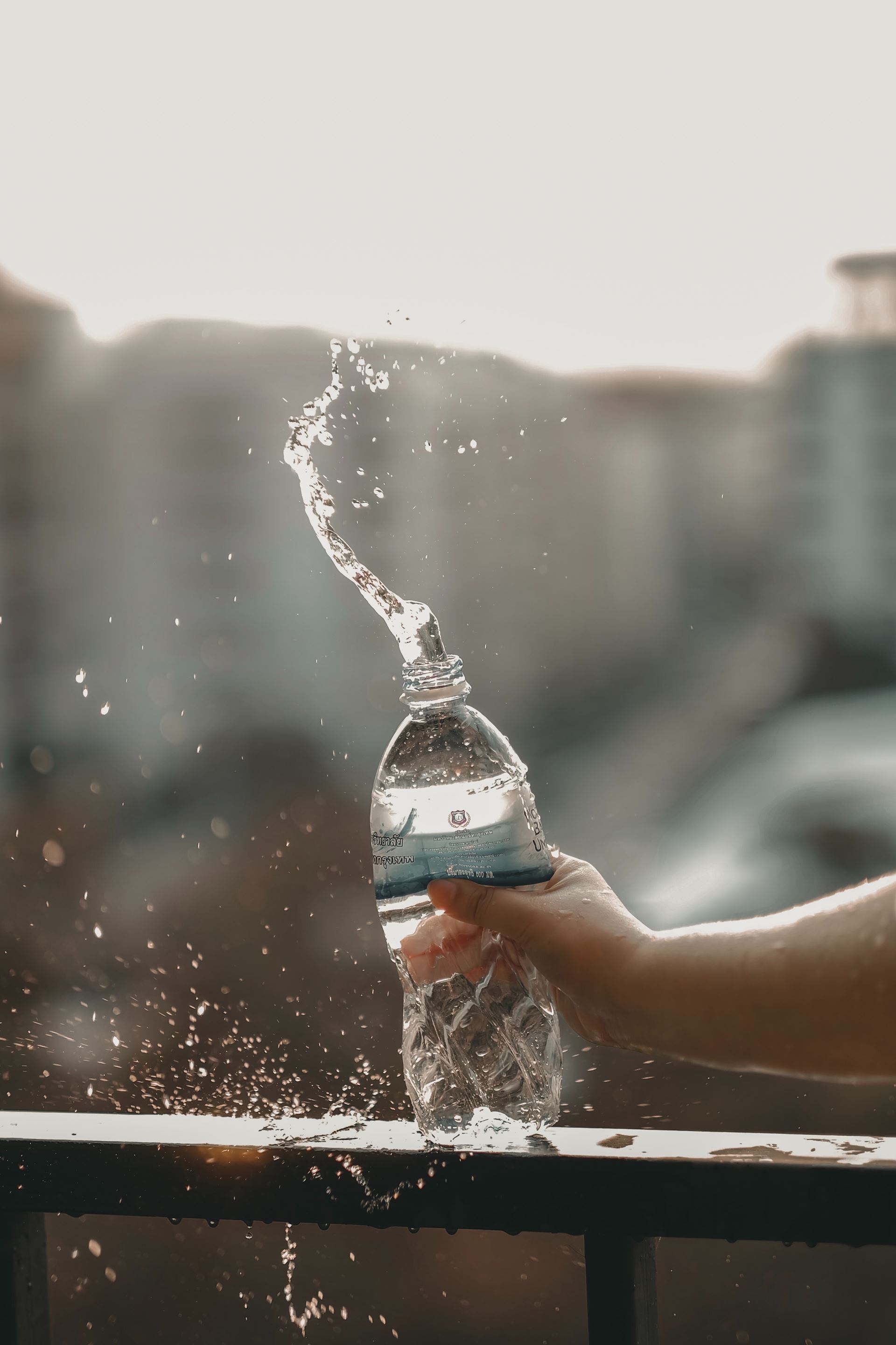 Water Bottle 
